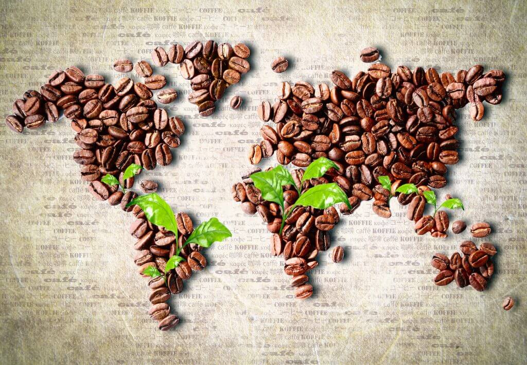 World Map Made of Coffee Beans and Leaves